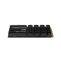 AITC Kingsman Gaming S1000 Gen5 M.2 NVMe 4TB SSD